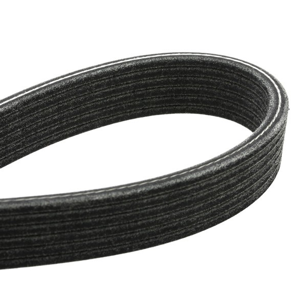 Ремінь приводний, агрегатів, комплект SKF VKMA31001 ціна, від 51.59 USD