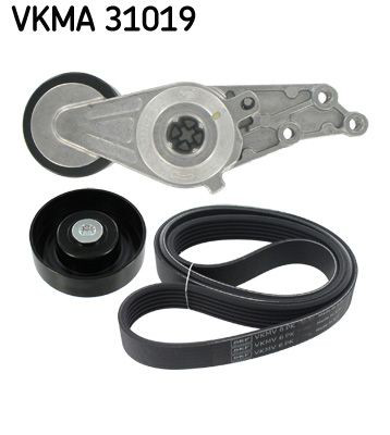 Купити VKMA31019 SKF Ремінь приводний, агрегатів, комплект