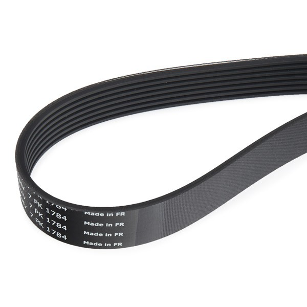 Ремінь приводний, агрегатів, комплект SKF VKMA36031 ціна, від 70.89 USD