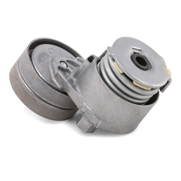 Купити VKMA36038 SKF Ремінь приводний, агрегатів, комплект