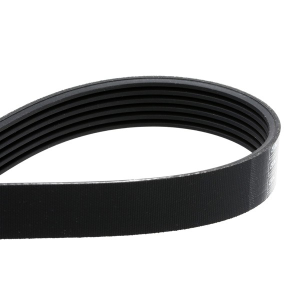 Ремінь приводний, агрегатів, комплект SKF VKMA36209