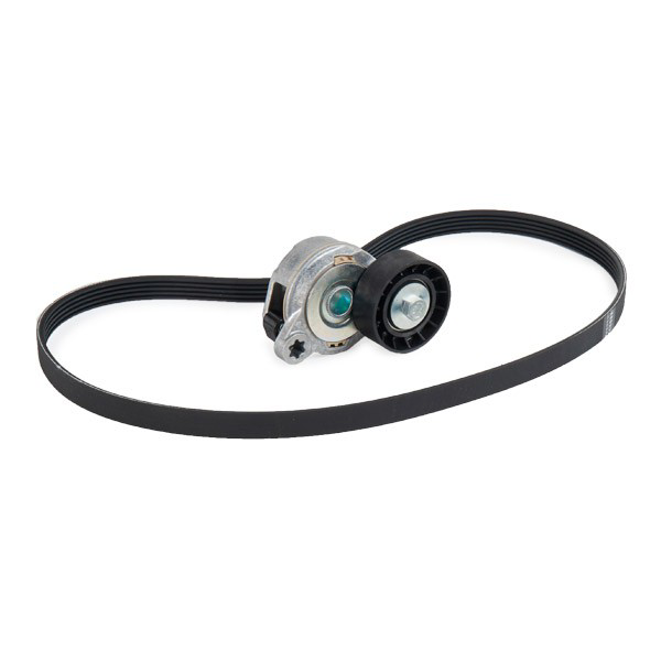 Ремінь приводний, агрегатів, комплект SKF VKMA36244 ціна, від 68.13 USD