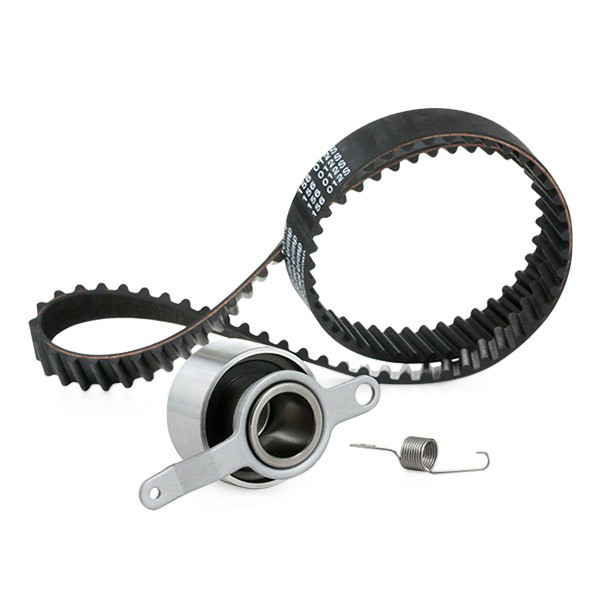 Ремкомплект ГРМ SKF VKMA93006