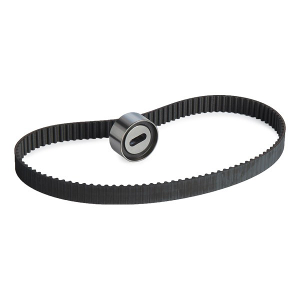 Ремкомплект ГРМ SKF VKMA94102