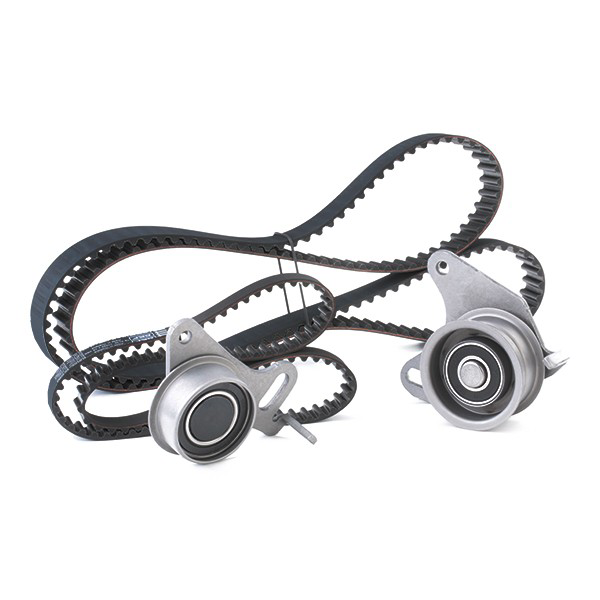 Ремкомплект ГРМ SKF VKMA95014