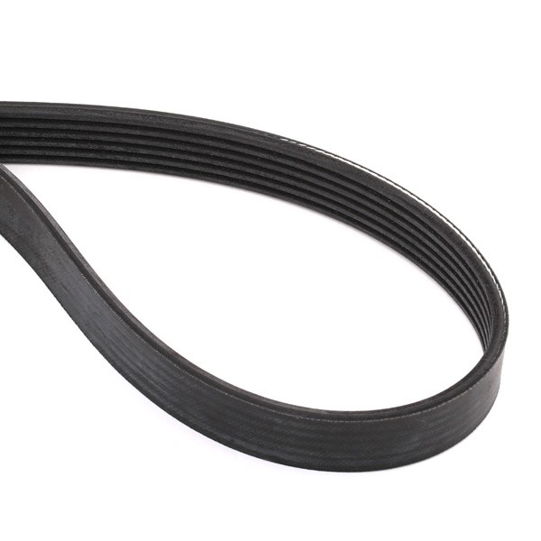 Купити VKMAF31054 SKF Ремінь приводний, агрегатів, комплект