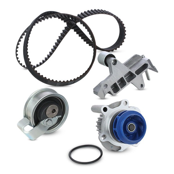 VKMC019181 SKF Ремінь ГРМ, комплект
