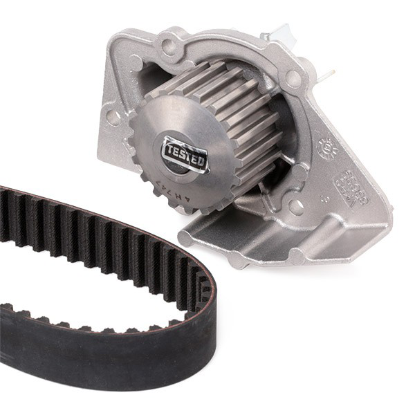 Ремкомплект ГРМ SKF VKMC03248