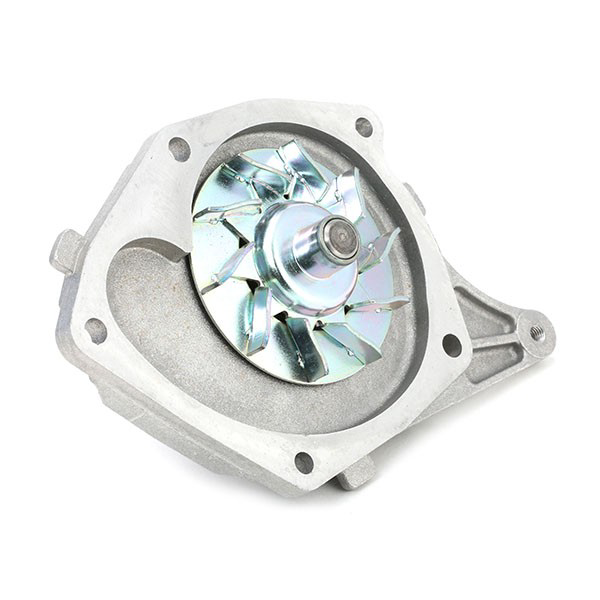 VKMC061341 SKF Ремінь ГРМ, комплект