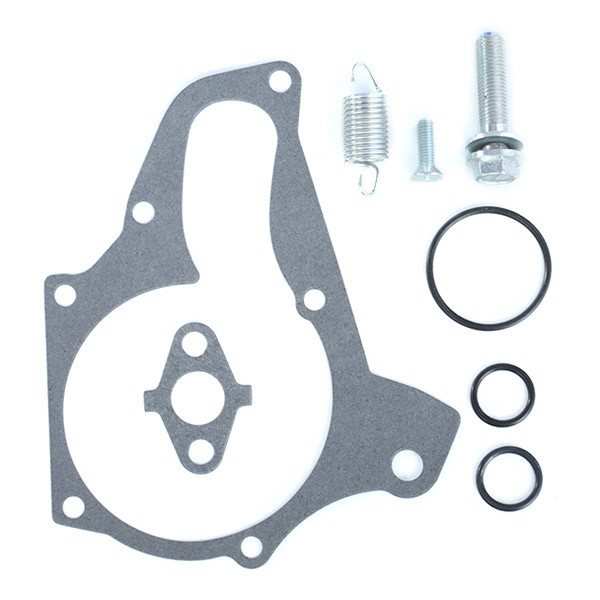 Комплект ГРМ VKMC91003 SKF