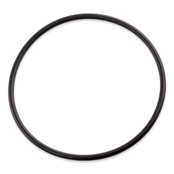 Купити VKPC86619 SKF Насос охолоджуючої рідини