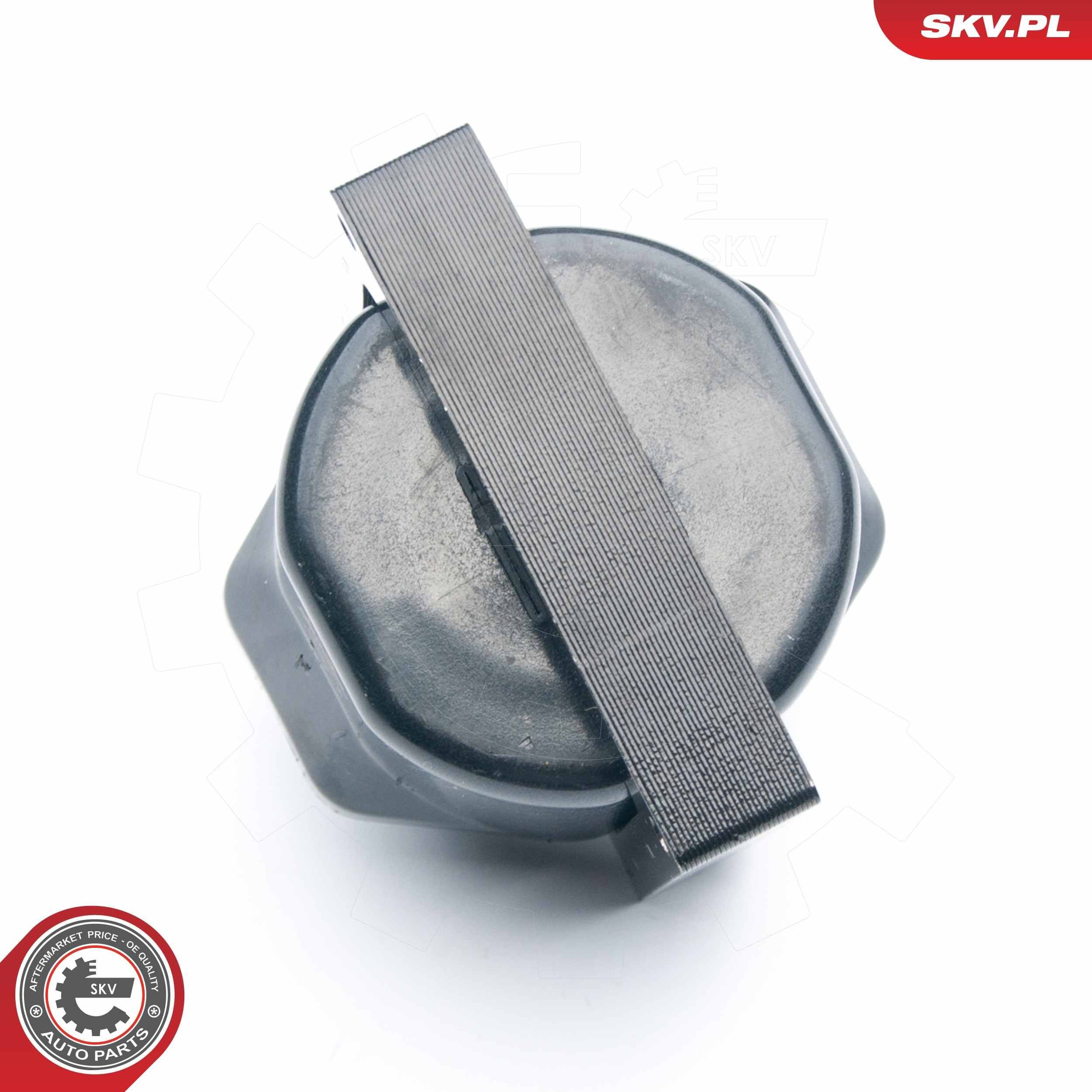 Котушка запалювання SKV 03SKV253 ціна, від 21.26 USD