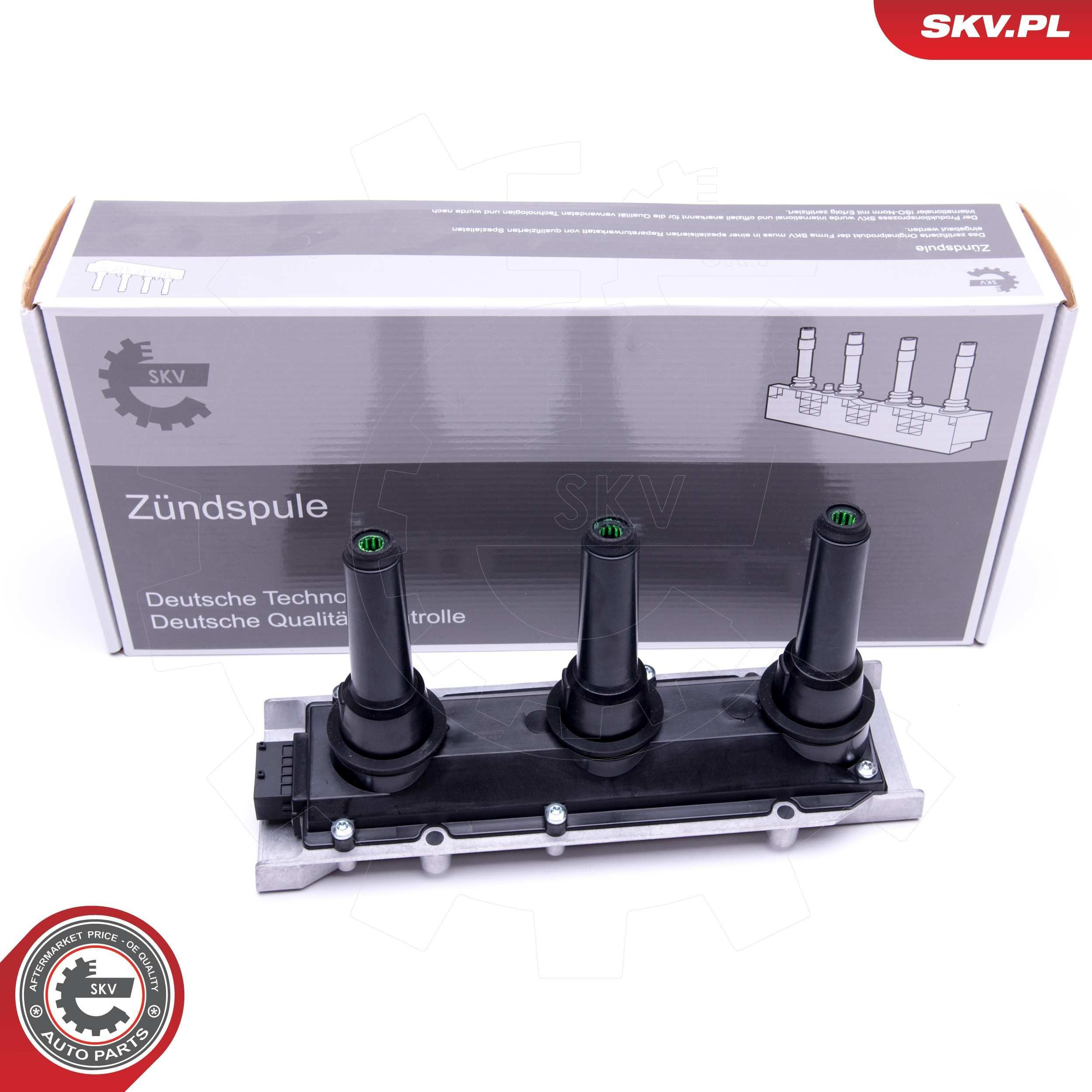 03SKV273 SKV Котушка запалювання