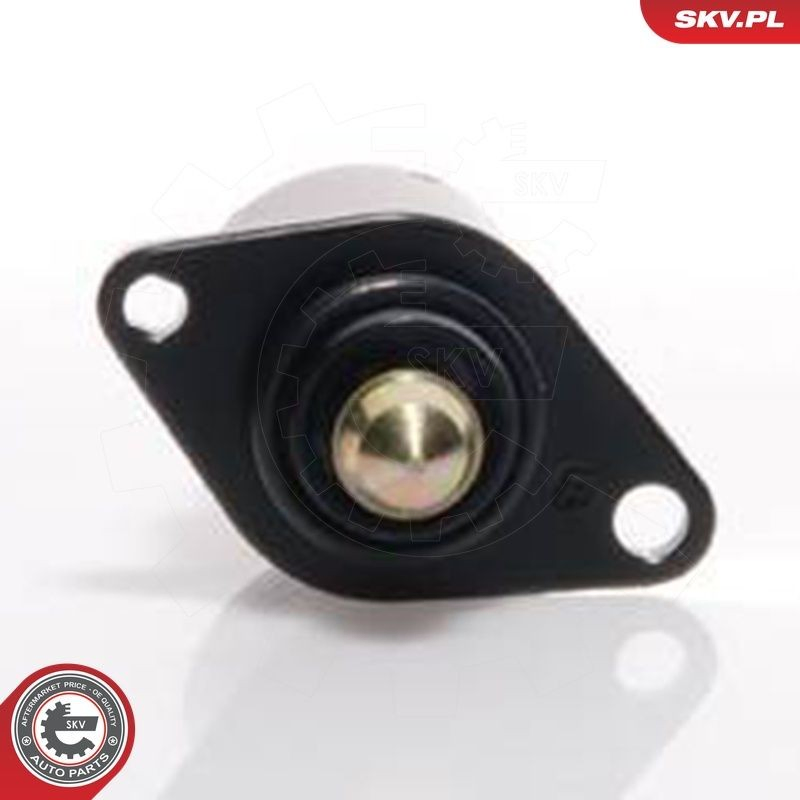 Клапан холостого ходу SKV 08SKV001 ціна, від 9.67 USD