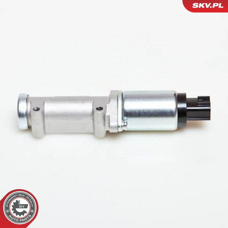 08SKV218 SKV РХХ