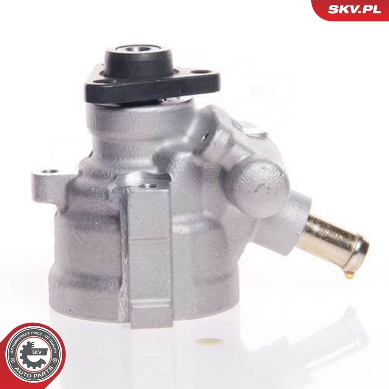 Купити 10SKV007 SKV Насос гідравліки