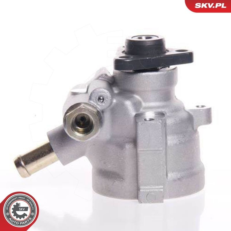 Насос ГУР 10SKV007 SKV