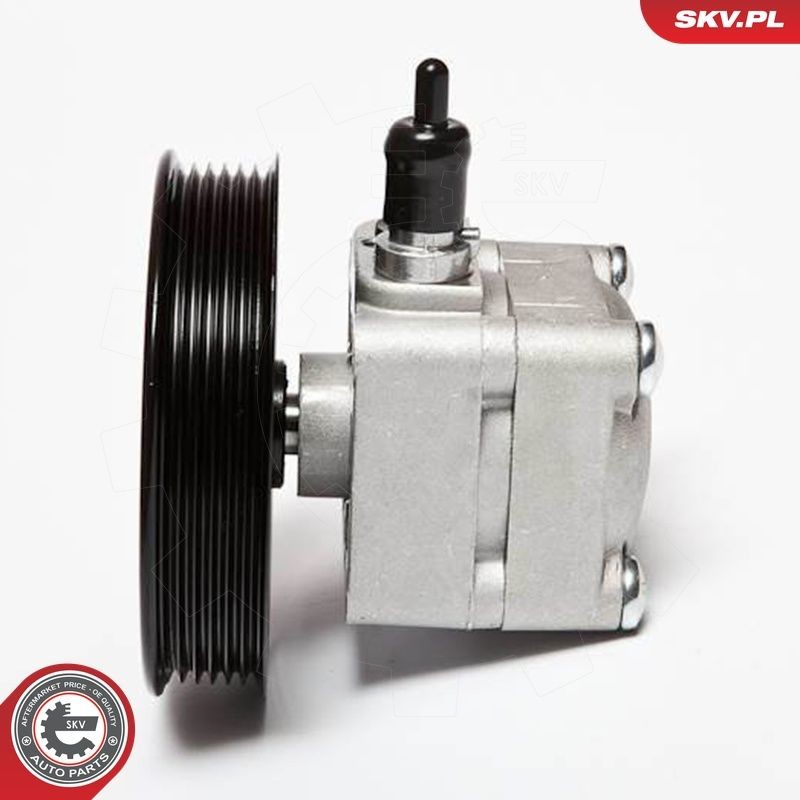 Купити 10SKV010 SKV Насос гідравліки