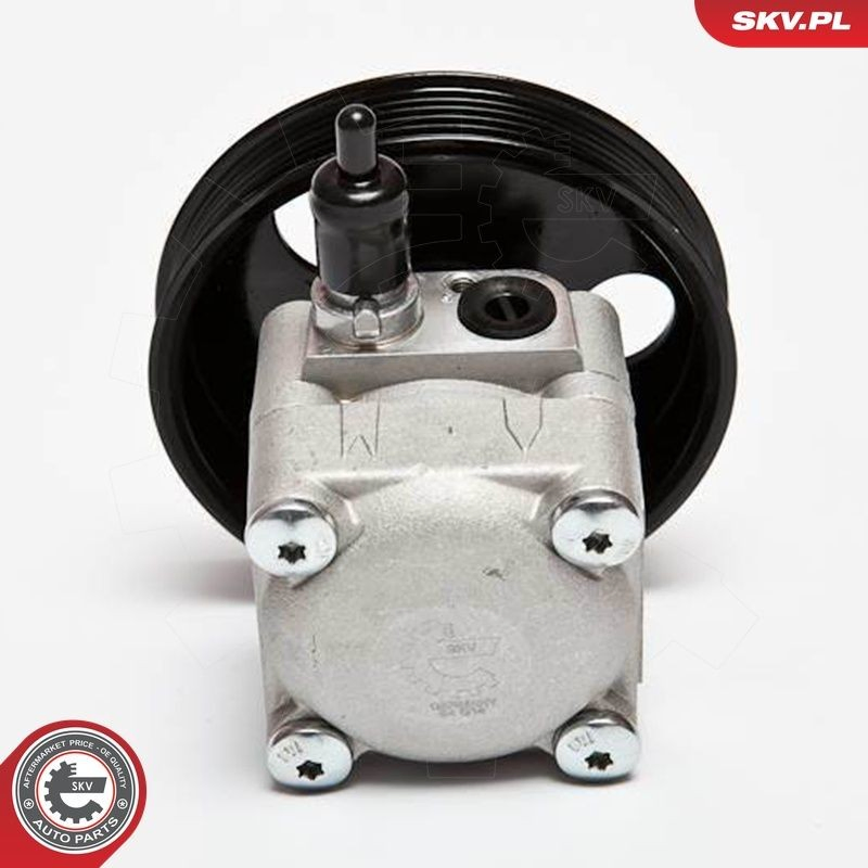 10SKV010 SKV Насос гідропідсилювача