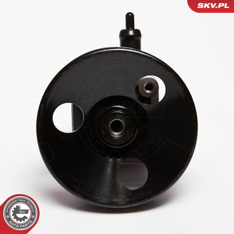10SKV010 SKV Насос гідропідсилювача