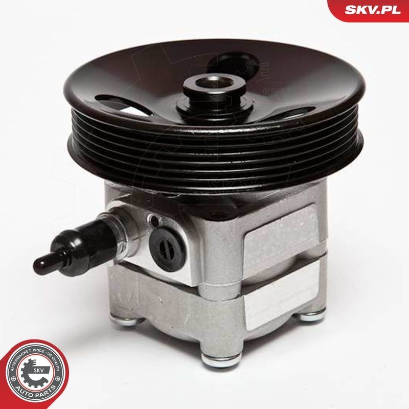 Насос ГУР 10SKV010 SKV