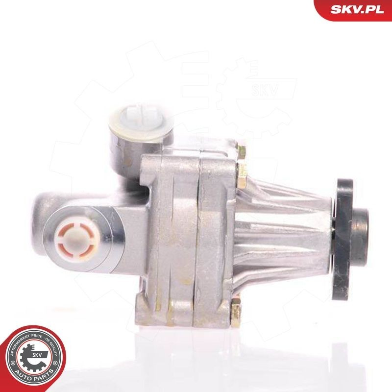 10SKV011 SKV Насос гідропідсилювача