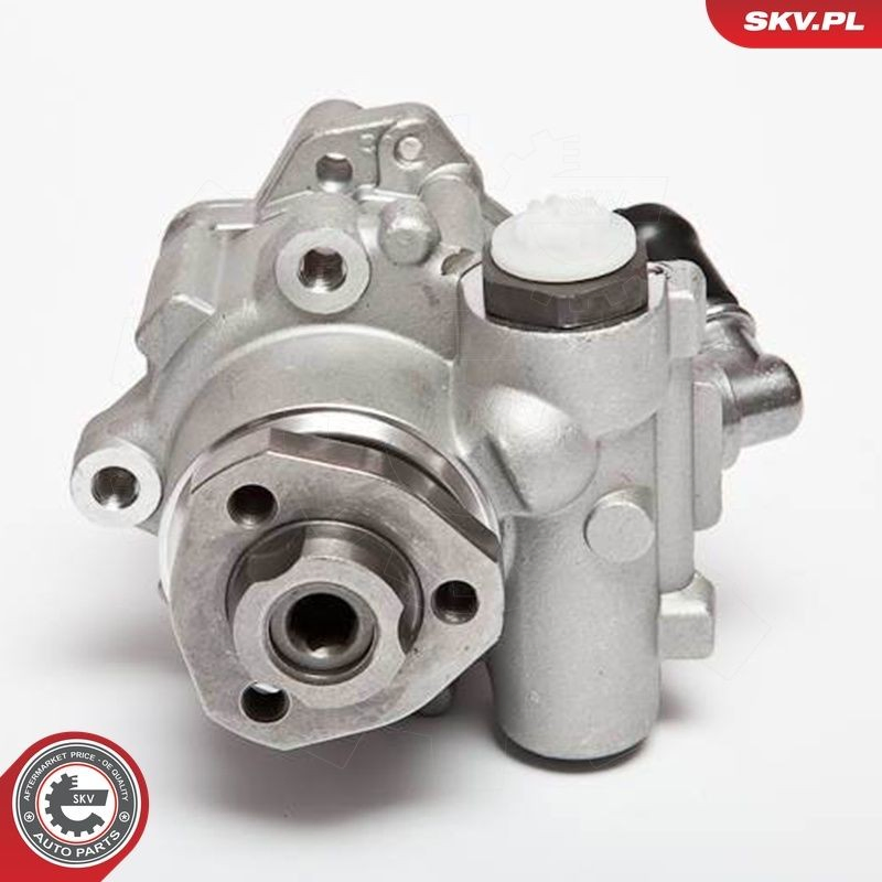 Купити 10SKV018 SKV Насос гідравліки