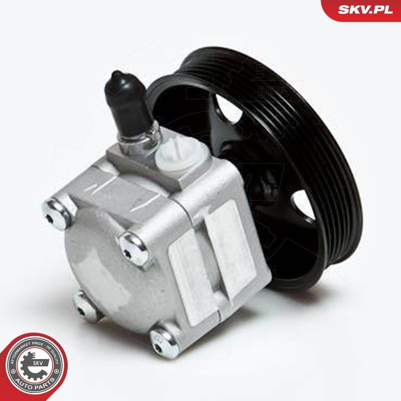 Насос ГУР 10SKV027 SKV