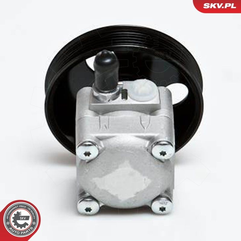 Купити 10SKV027 SKV Насос гідравліки