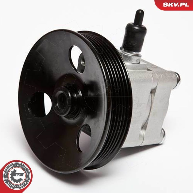 Купити 10SKV033 SKV Насос гідравліки