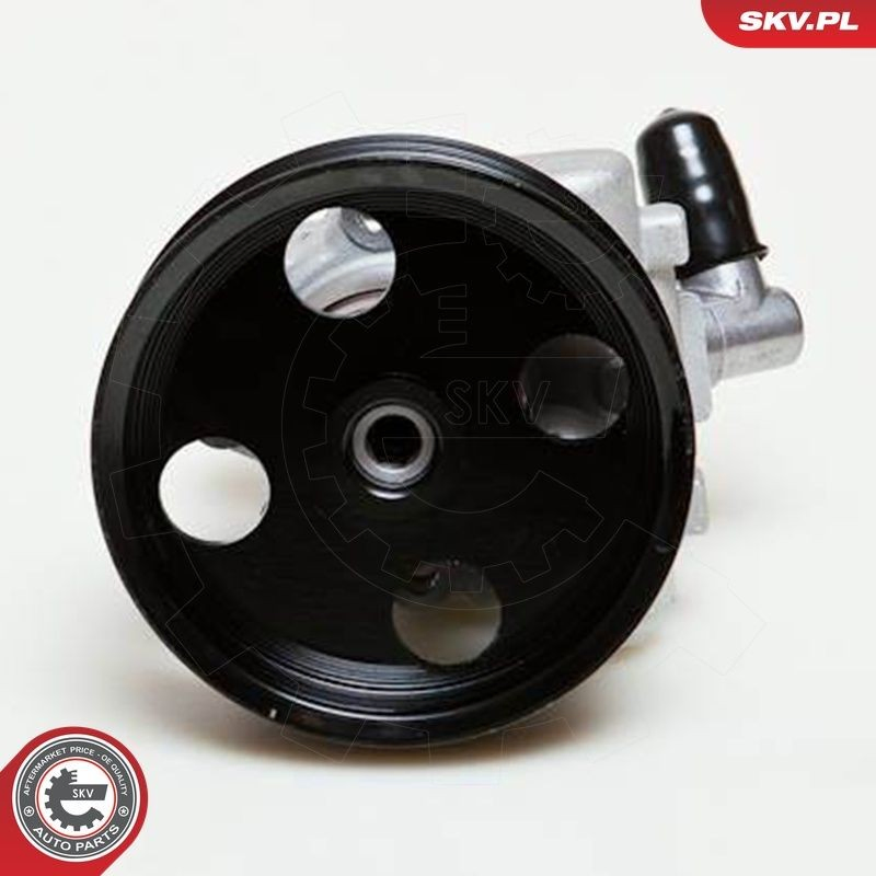 Купити 10SKV039 SKV Насос гідравліки
