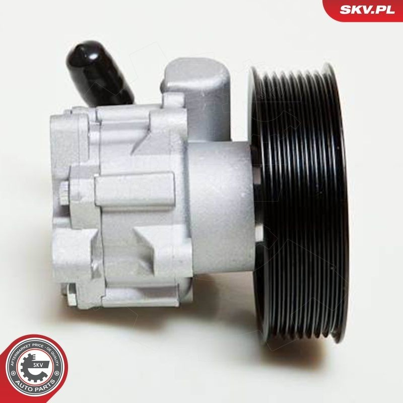 Насос ГУР 10SKV039 SKV
