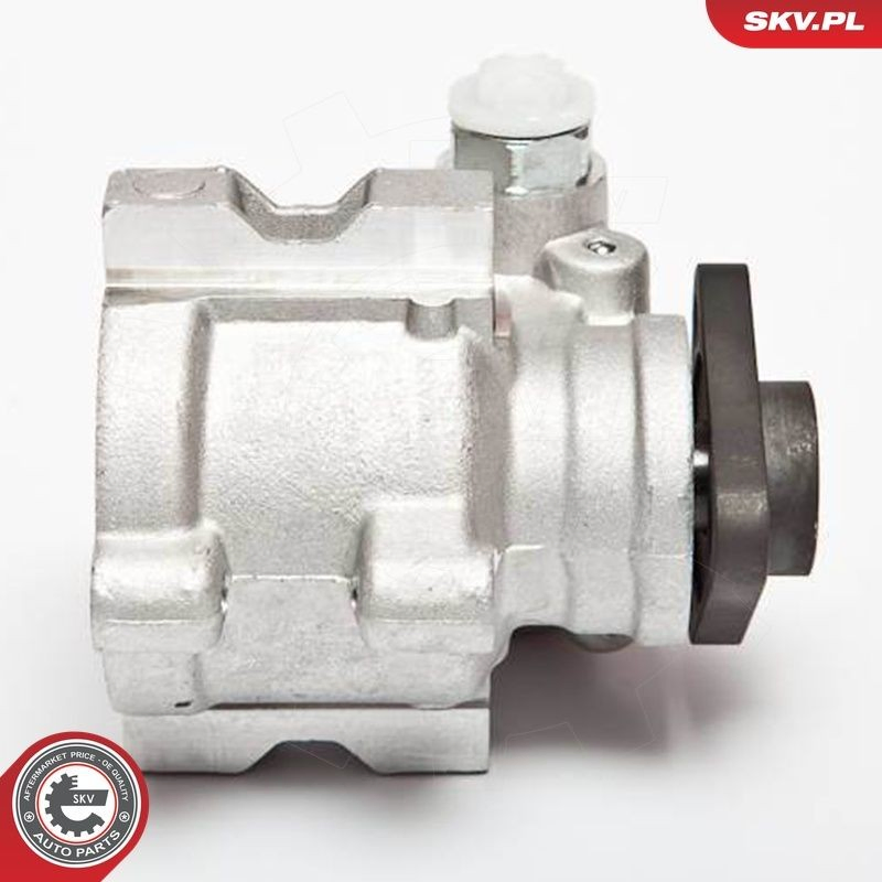 Купити 10SKV041 SKV Насос гідравліки