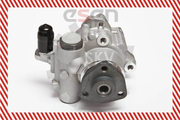 Купити 10SKV043 SKV Насос гідравліки