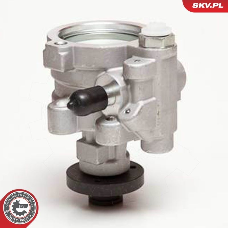 Насос ГУР 10SKV054 SKV