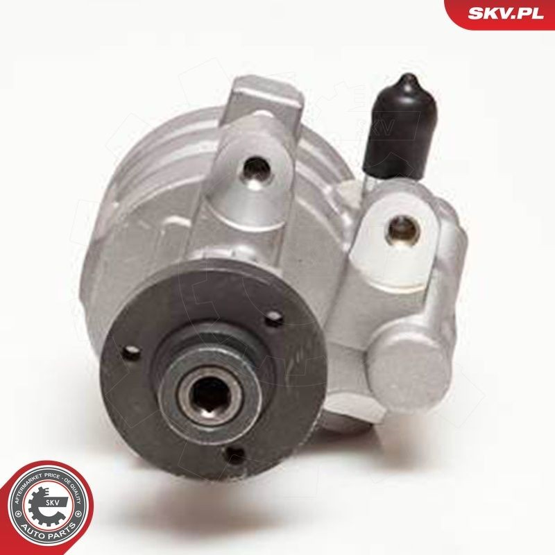 10SKV054 SKV Насос гідропідсилювача