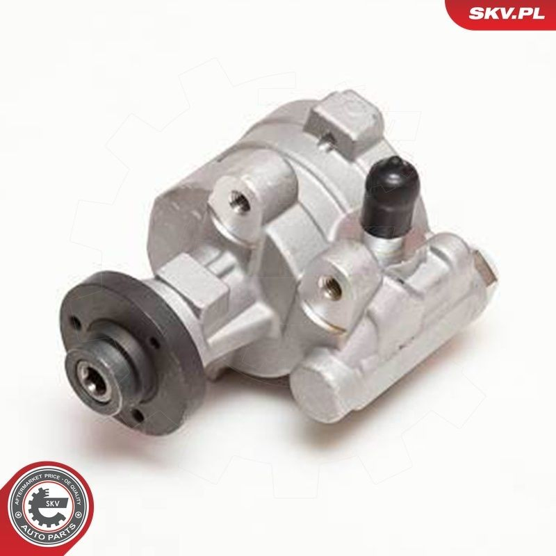 Купити 10SKV054 SKV Насос гідравліки