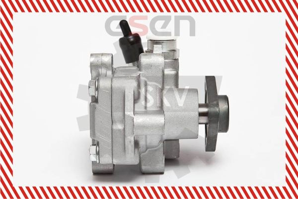 Купити 10SKV075 SKV Насос гідравліки