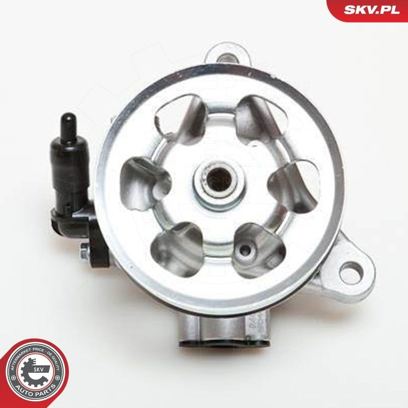 Купити 10SKV076 SKV Насос гідравліки