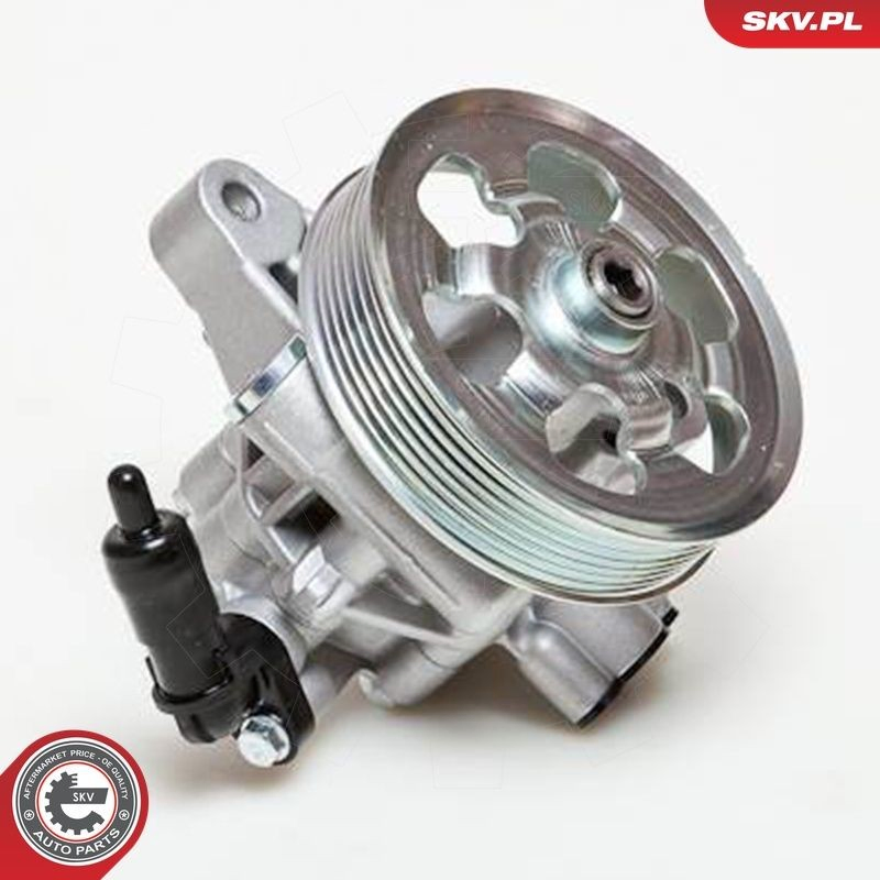 10SKV076 SKV Насос гідропідсилювача