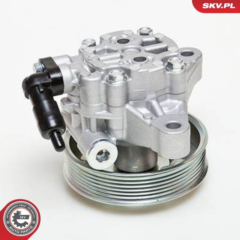 Насос ГУР 10SKV076 SKV