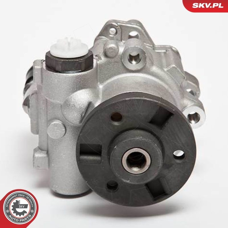 10SKV123 SKV Насос гідропідсилювача