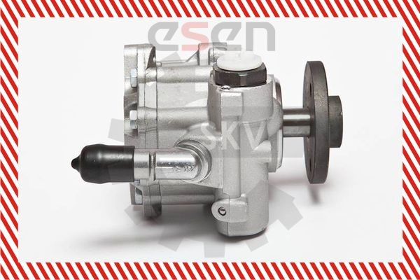Купити 10SKV123 SKV Насос гідравліки