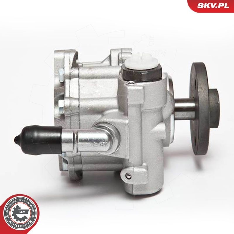 10SKV123 SKV Насос гідропідсилювача