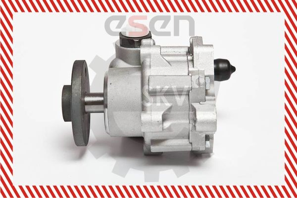 Купити 10SKV123 SKV Насос гідравліки