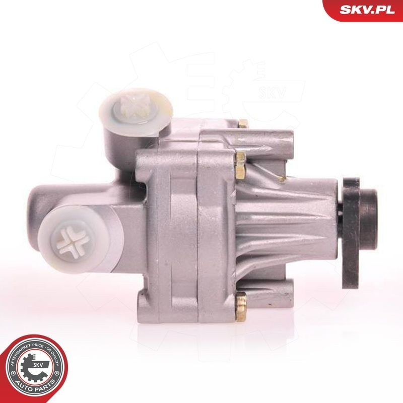 Купити 10SKV125 SKV Насос гідравліки