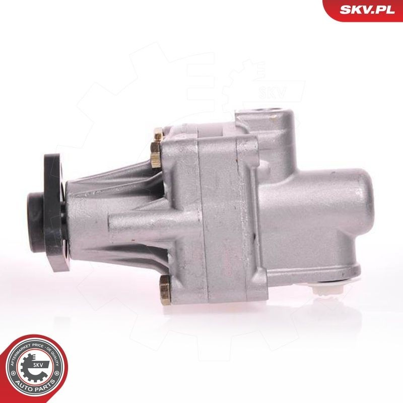 10SKV125 SKV Насос гідропідсилювача