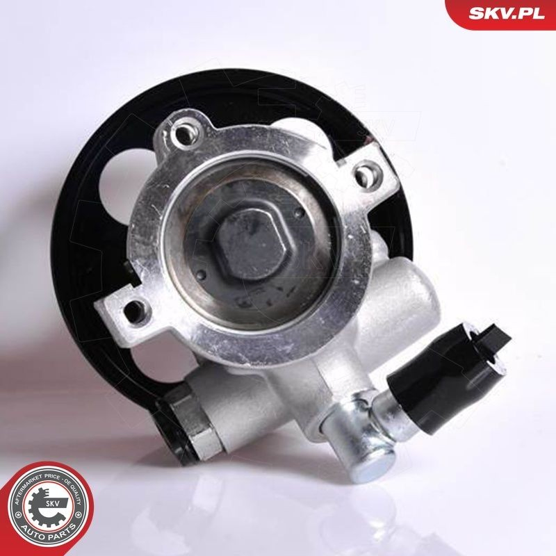 Купити 10SKV138 SKV Насос гідравліки