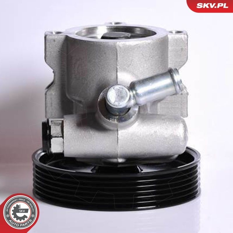 Насос ГУР 10SKV138 SKV