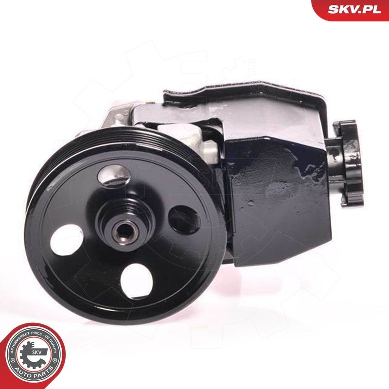 Купити 10SKV139 SKV Насос гідравліки